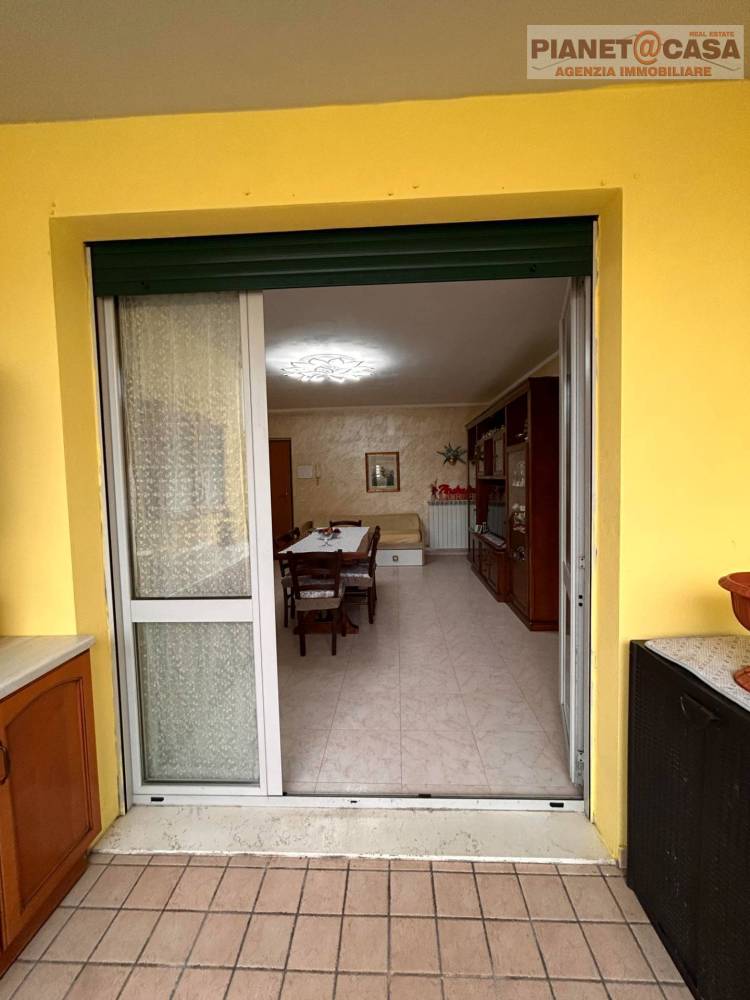 immagine annuncio 7 di 14