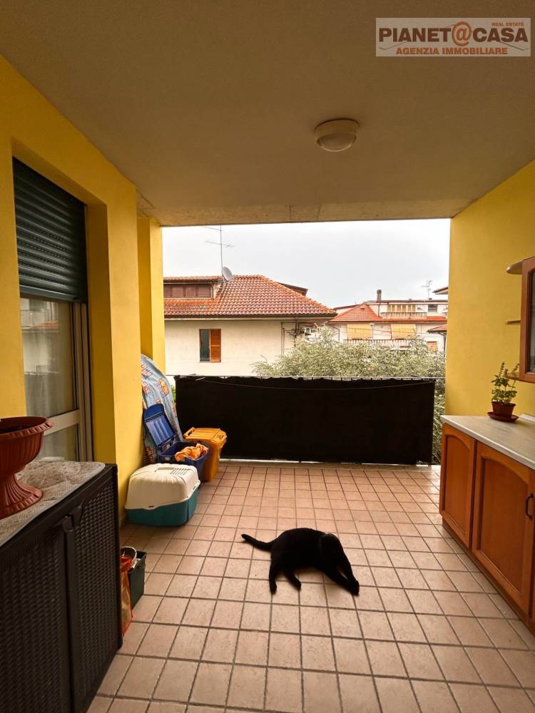 immagine annuncio 6 di 14