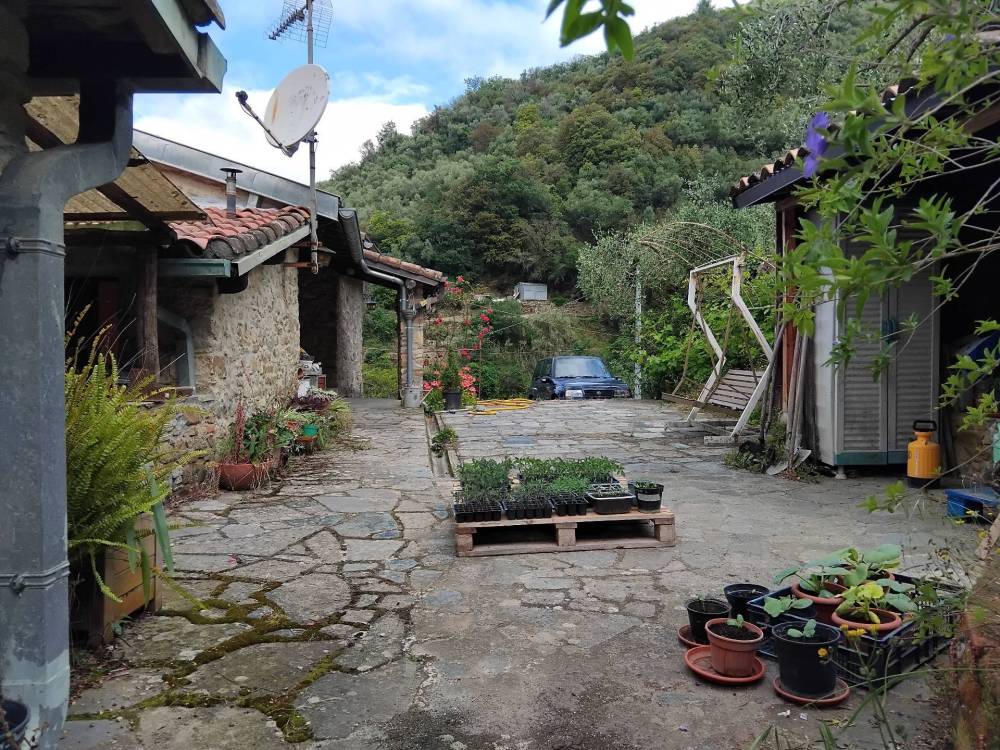 immagine annuncio 7 di 13