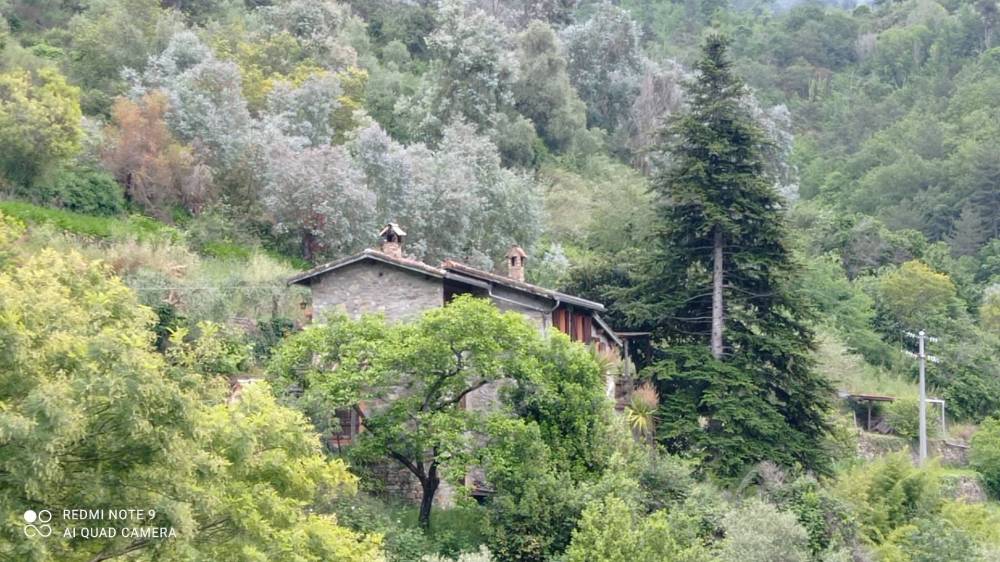 immagine annuncio 3 di 13