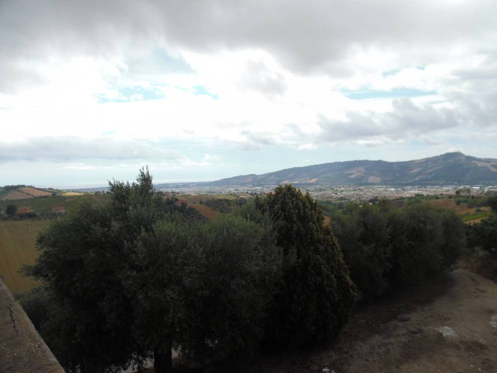 immagine annuncio 6 di 13