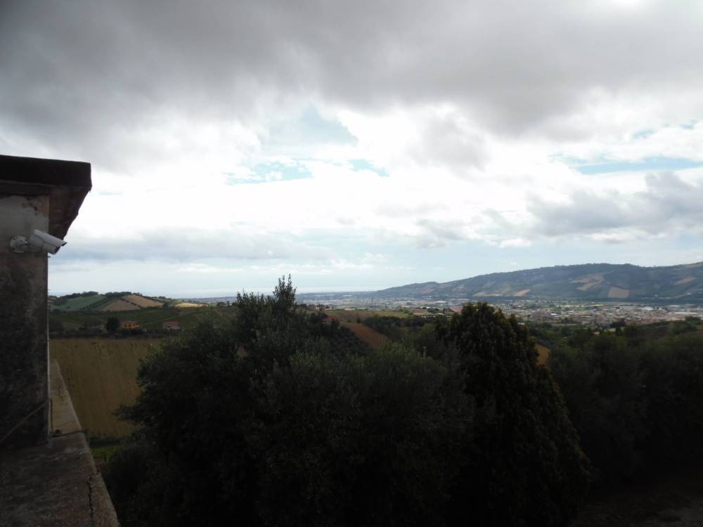 immagine annuncio 7 di 13