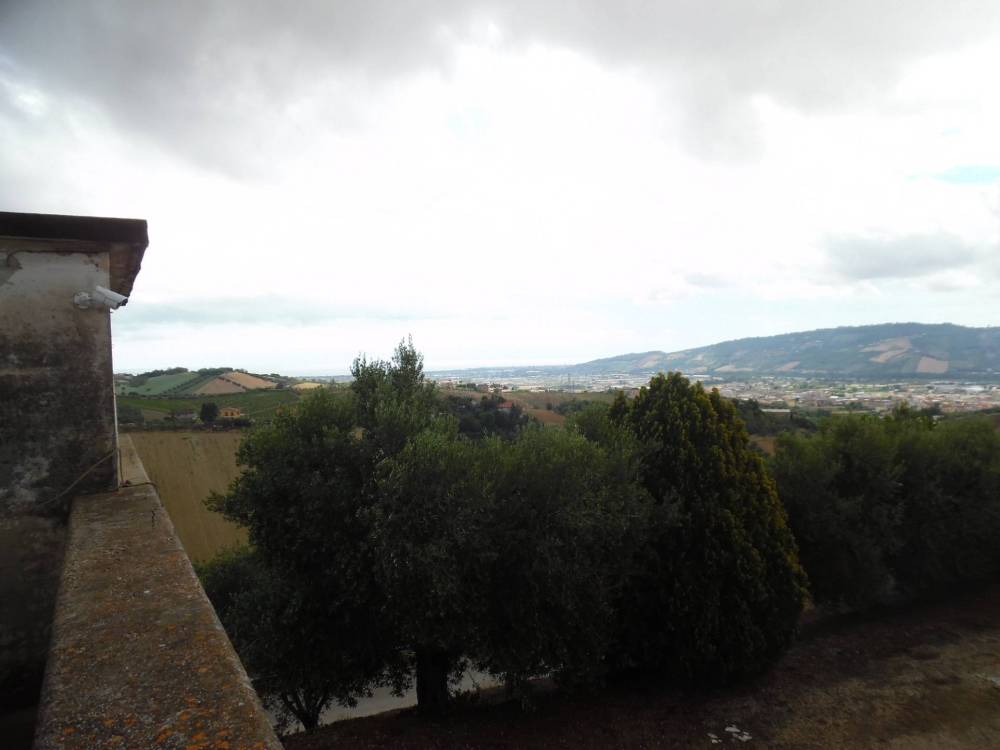 immagine annuncio 12 di 13