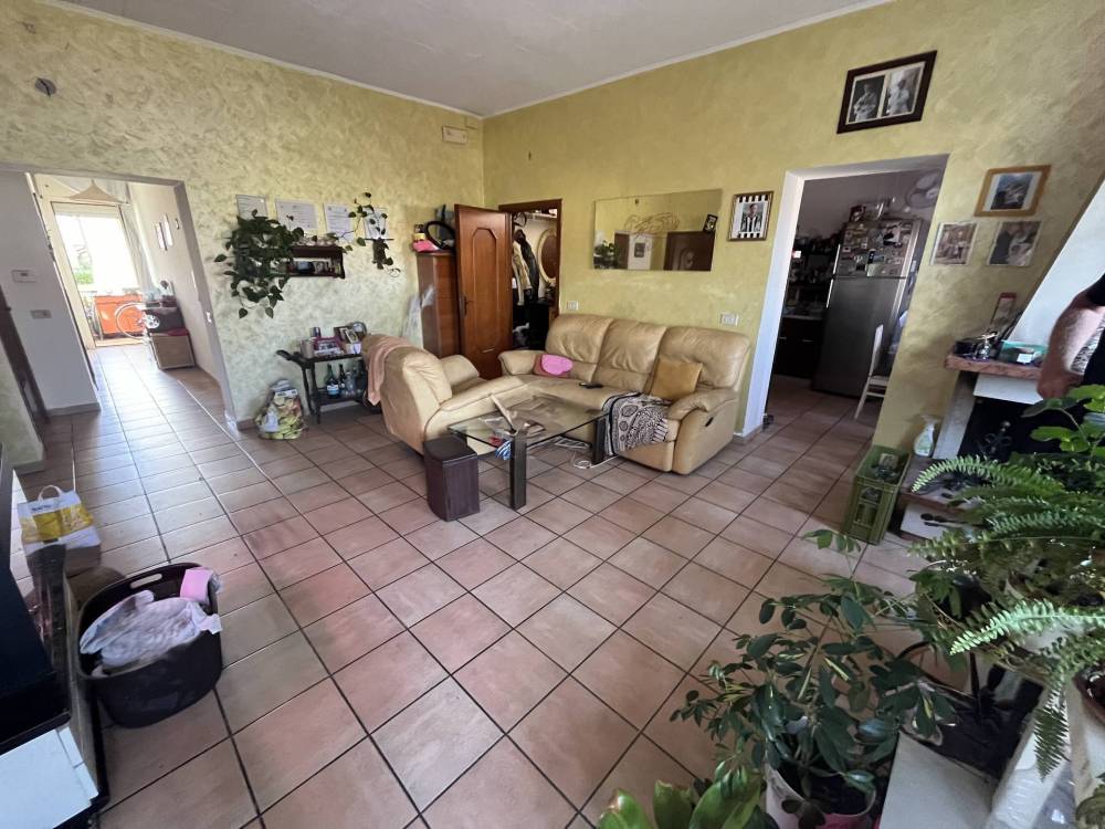 immagine annuncio 1 di 12