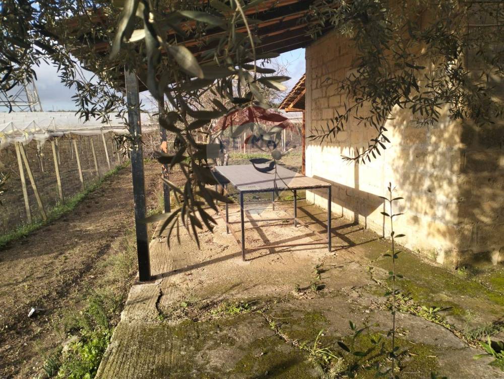 immagine annuncio 11 di 13