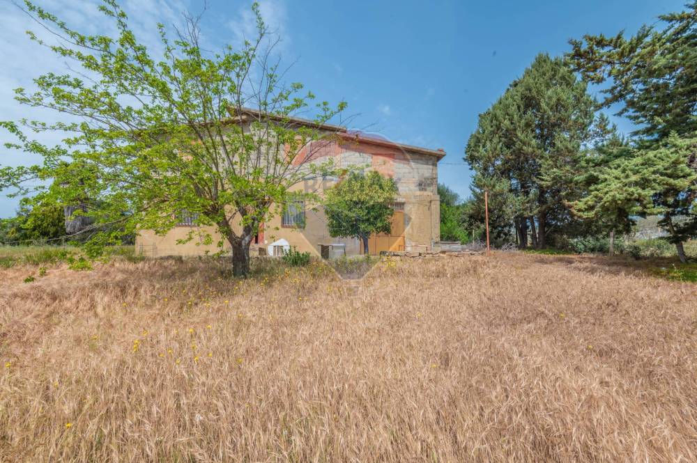 immagine annuncio 8 di 13