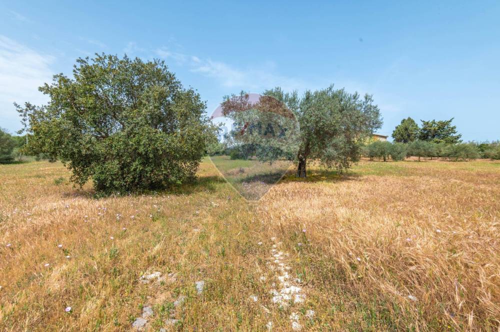 immagine annuncio 12 di 13