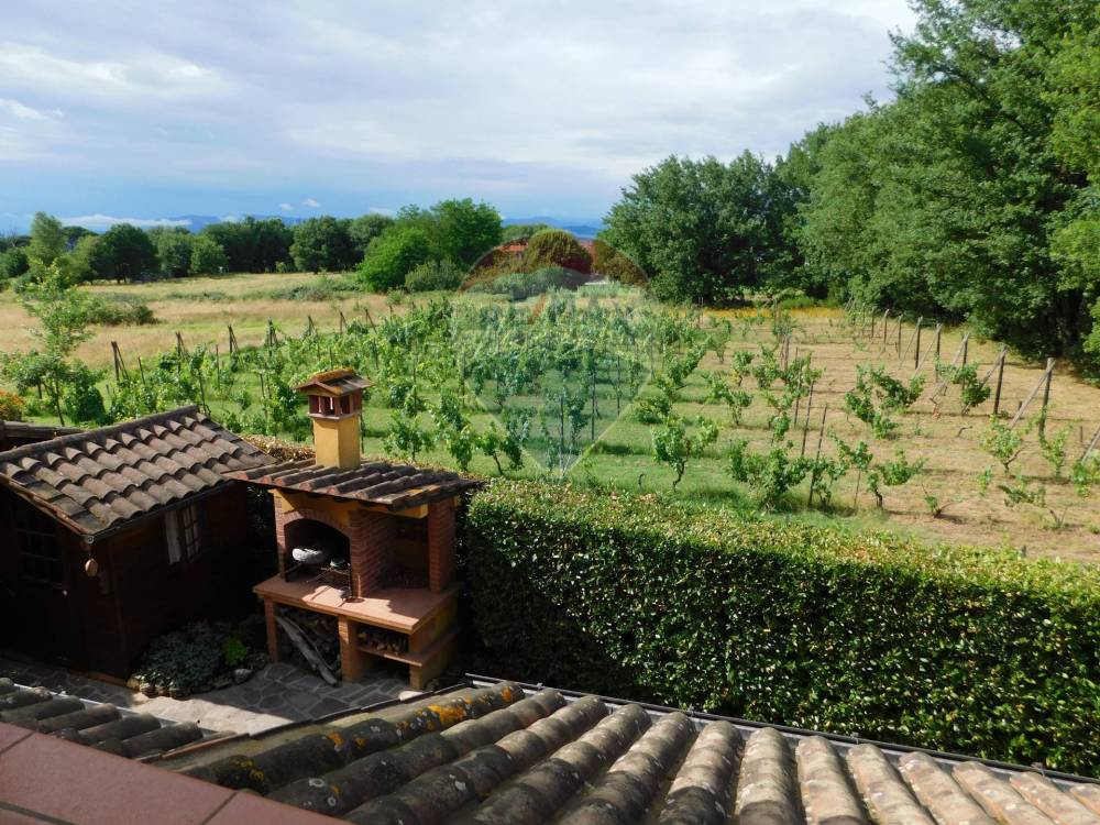 immagine annuncio 11 di 13