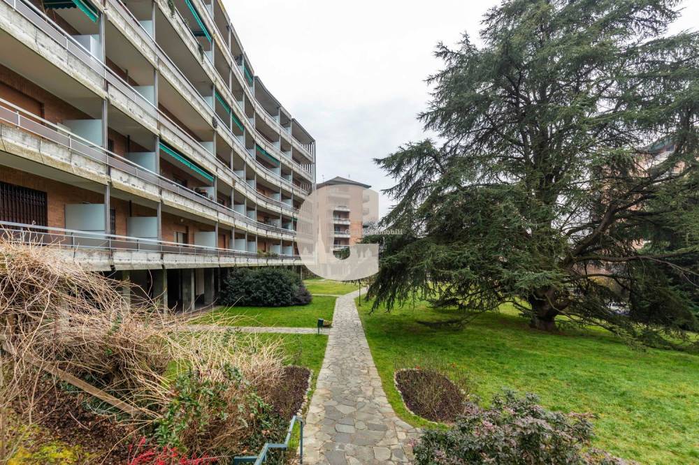 immagine annuncio 10 di 13