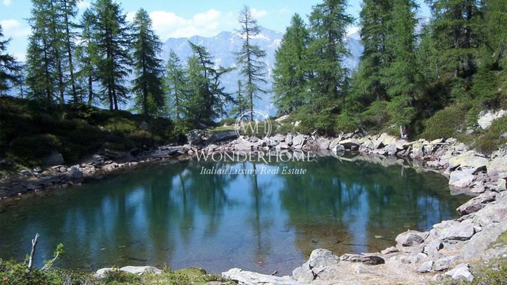 immagine annuncio 4 di 8