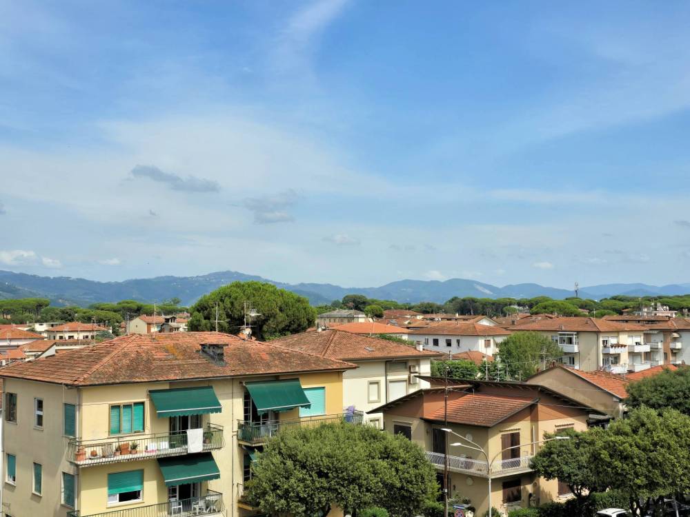 immagine annuncio 9 di 13