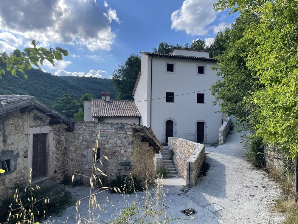 immagine annuncio 1 di 13