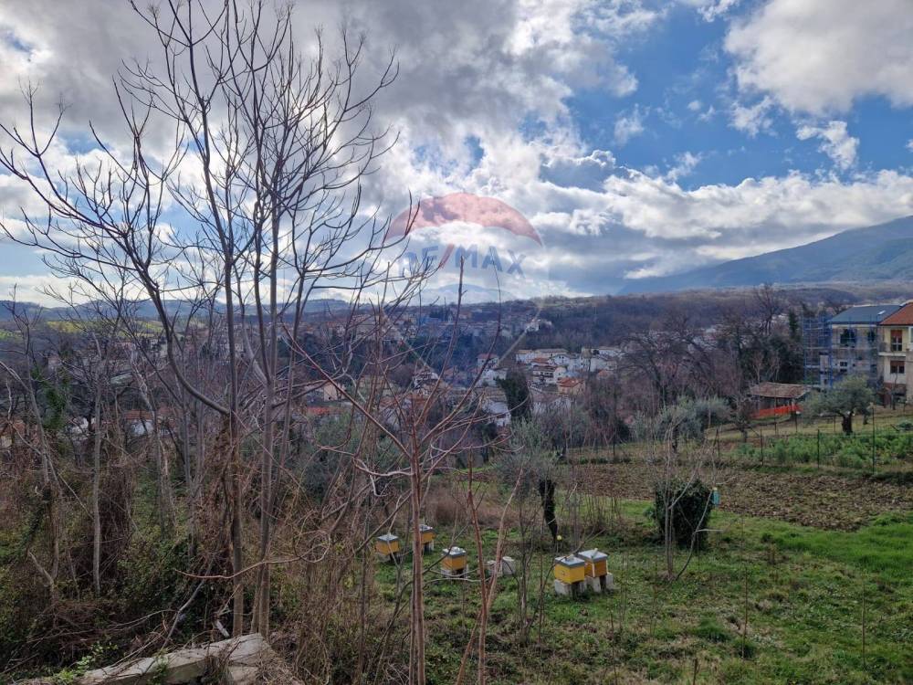 immagine annuncio 9 di 13
