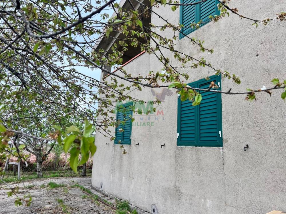 immagine annuncio 3 di 13