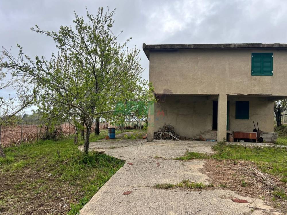 immagine annuncio 8 di 13