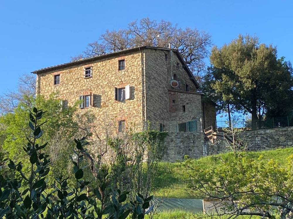 immagine annuncio 5 di 13