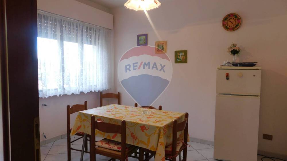 immagine annuncio 5 di 14