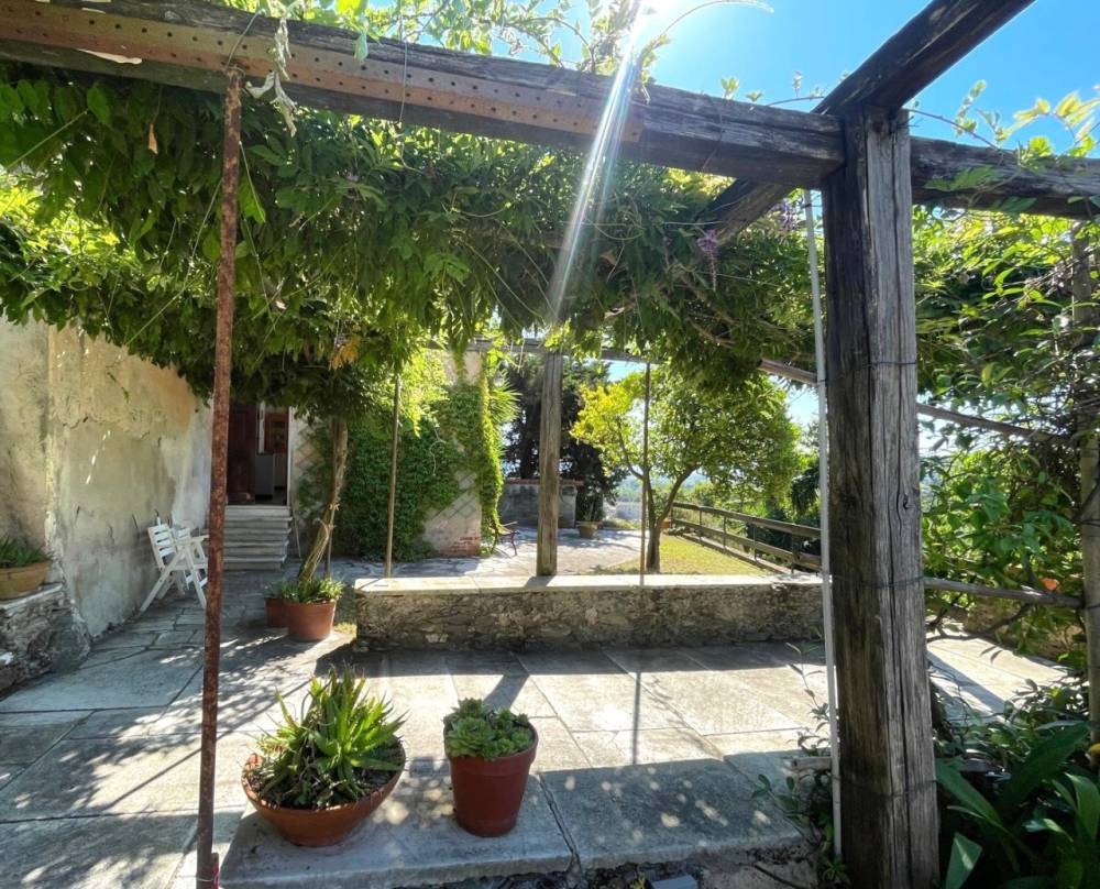 immagine annuncio 2 di 13