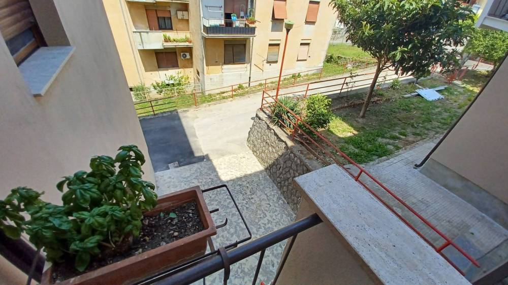 immagine annuncio 9 di 13