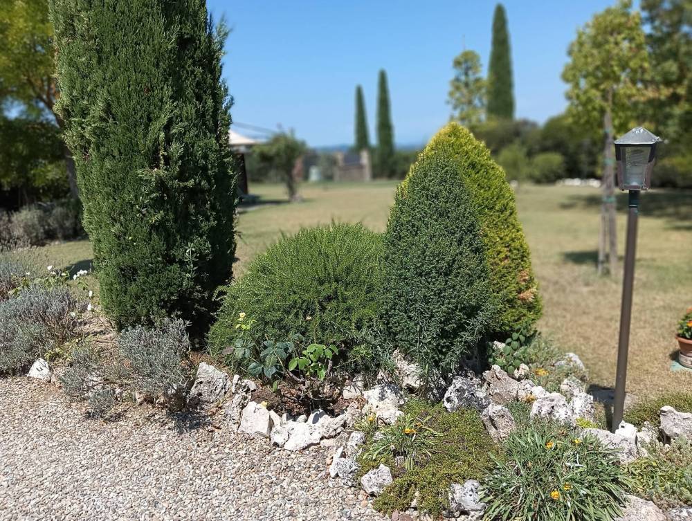 immagine annuncio 3 di 14