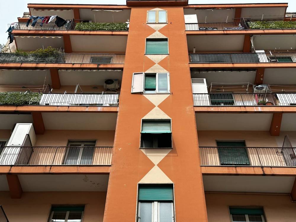 immagine annuncio 3 di 13