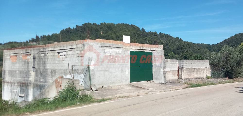 immagine annuncio 3 di 13