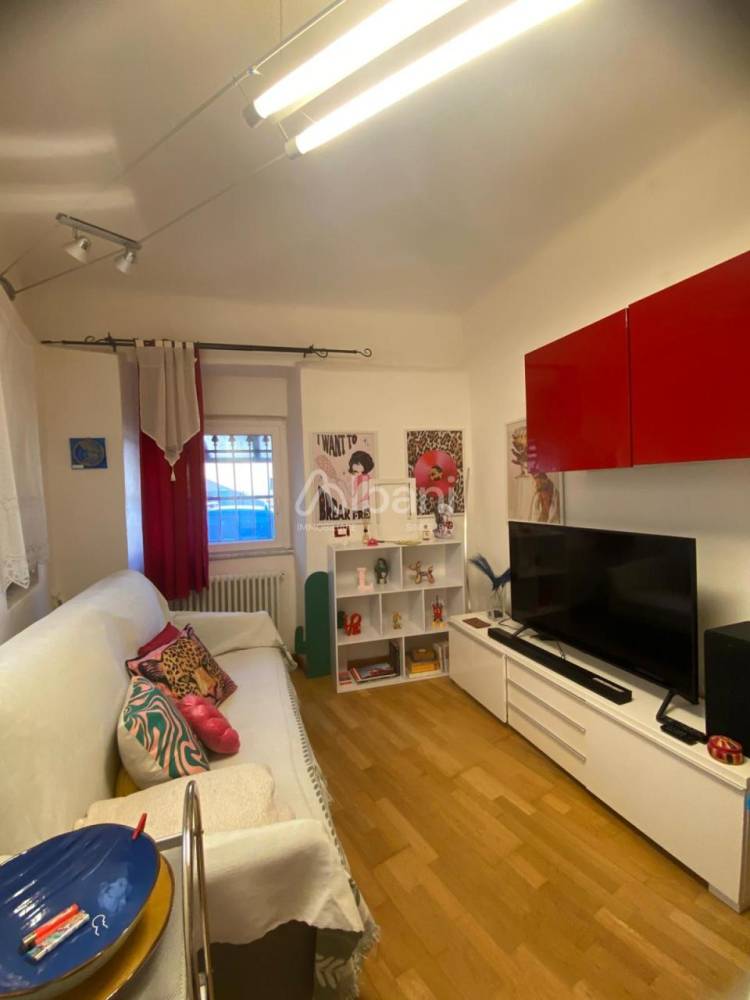 immagine annuncio 12 di 14