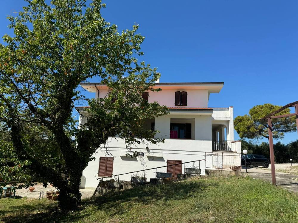 immagine annuncio 6 di 13