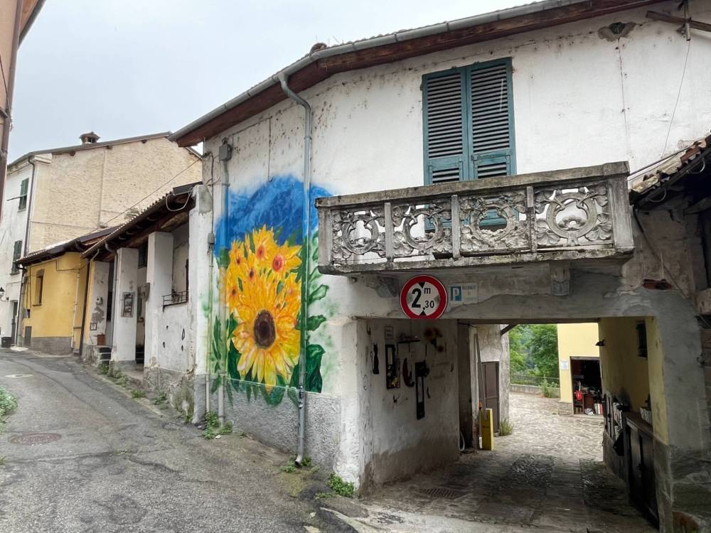 immagine annuncio 3 di 13