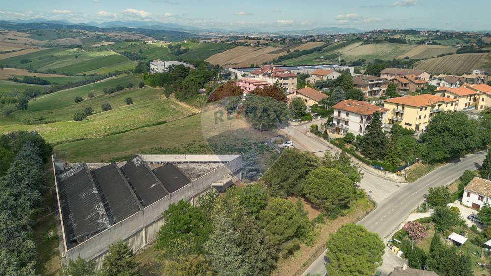 immagine annuncio 6 di 13