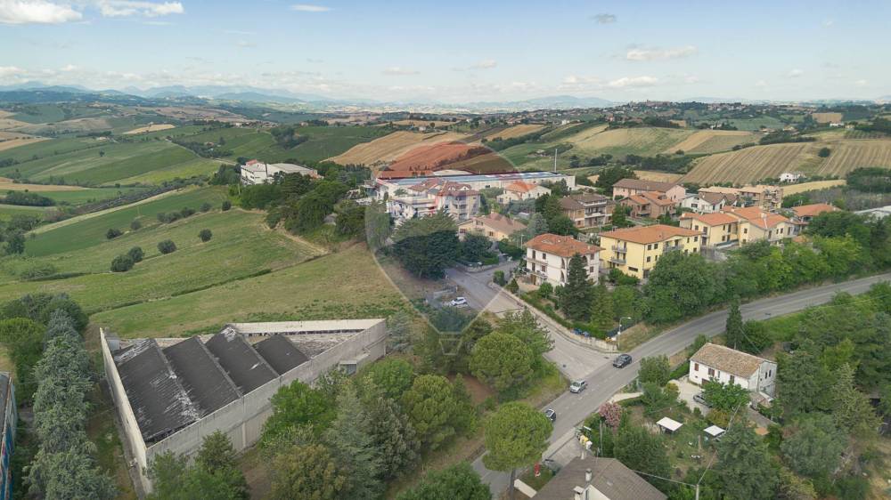 immagine annuncio 9 di 13