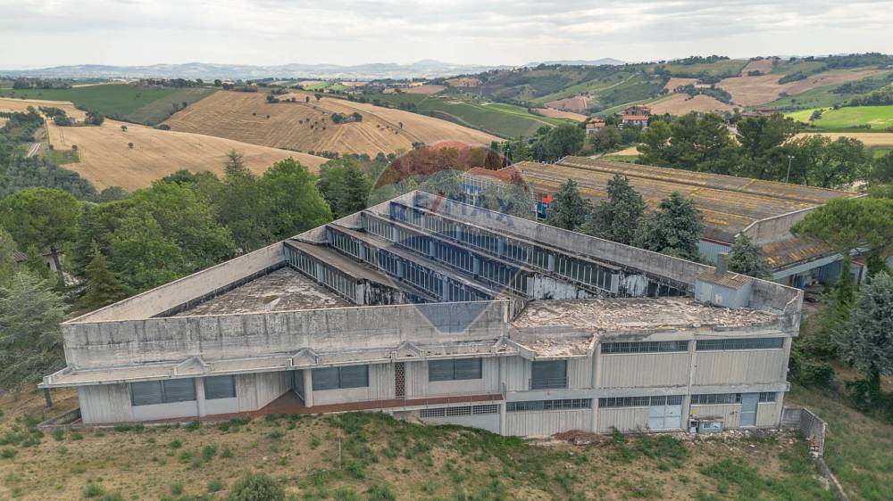 immagine annuncio 11 di 13