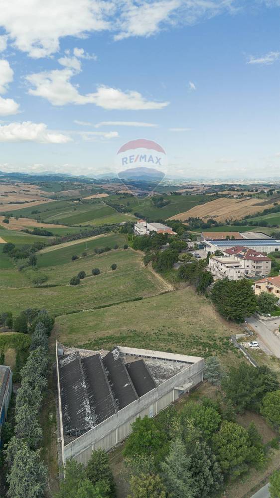 immagine annuncio 8 di 13