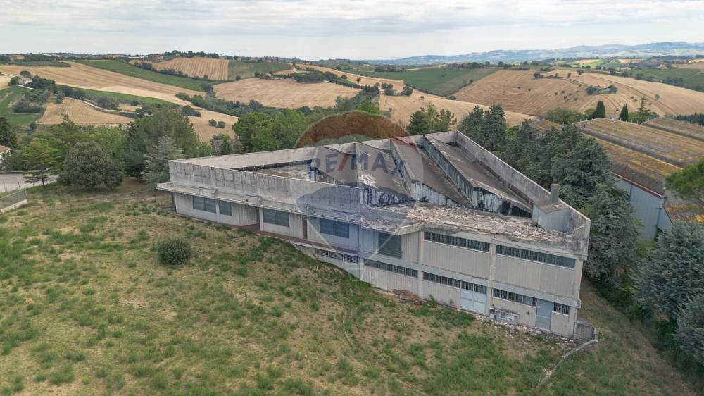 immagine annuncio 12 di 13