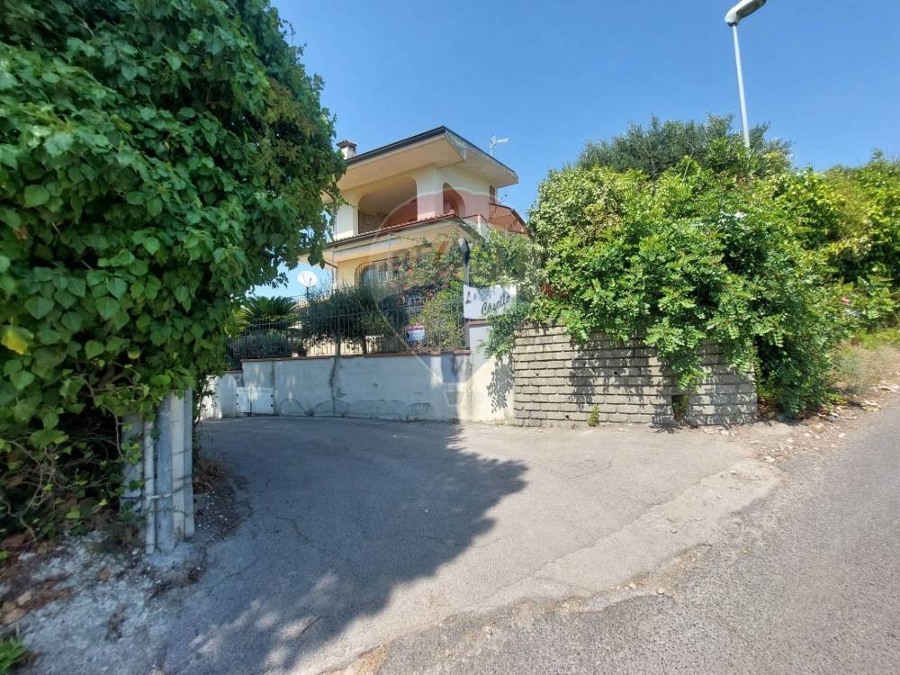 immagine annuncio 12 di 14