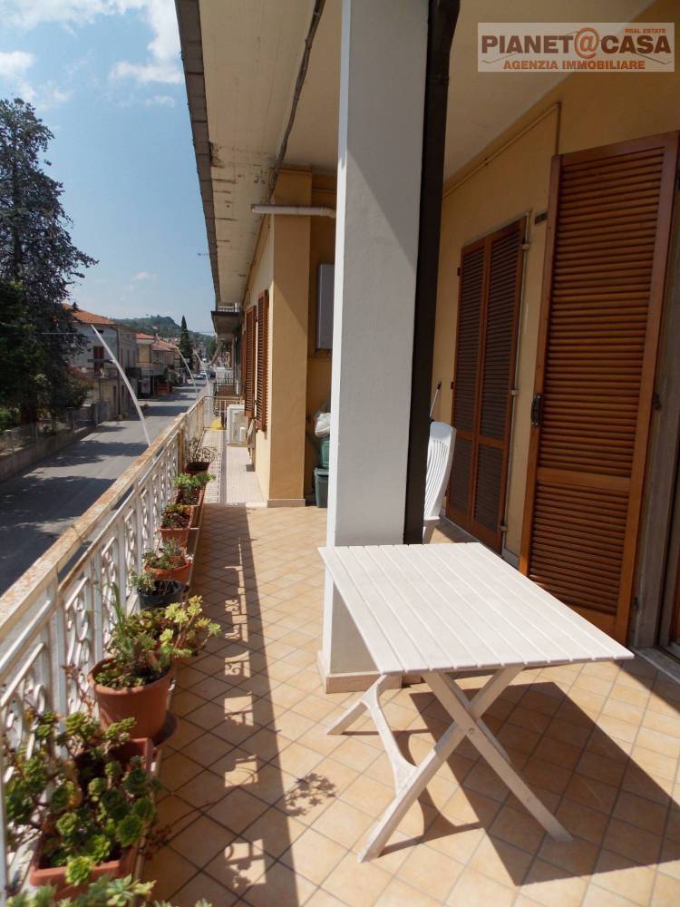 immagine annuncio 12 di 13