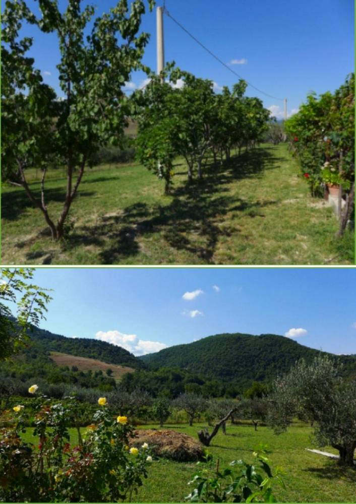 immagine annuncio 9 di 13
