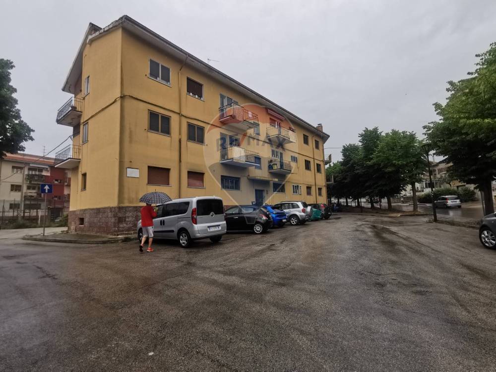 immagine annuncio 12 di 13