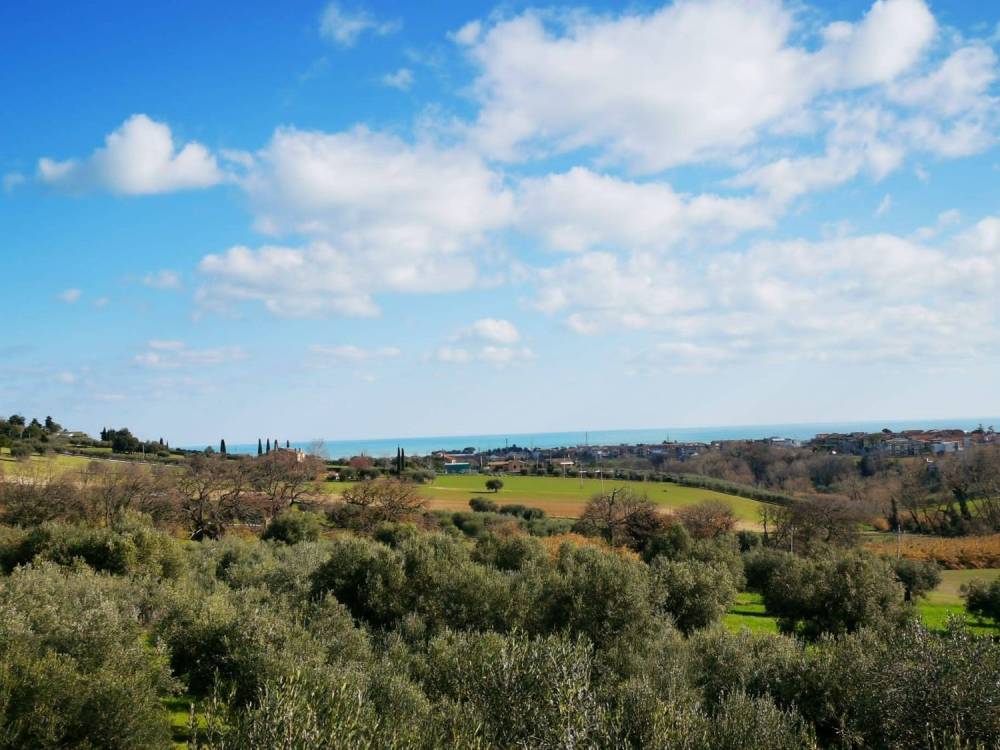 immagine annuncio 2 di 13