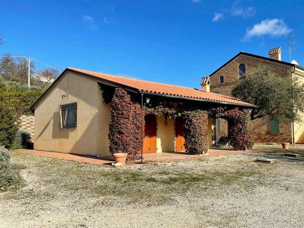 immagine annuncio 1 di 13