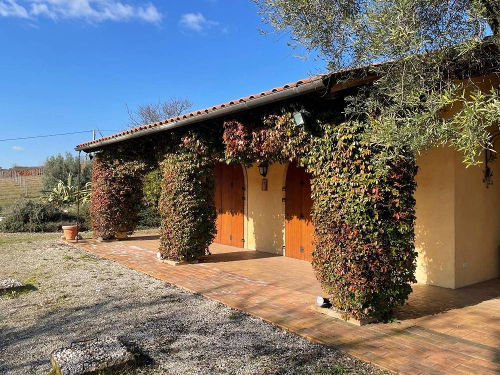 immagine annuncio 3 di 13