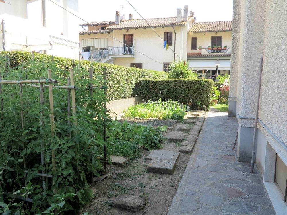 immagine annuncio 3 di 13