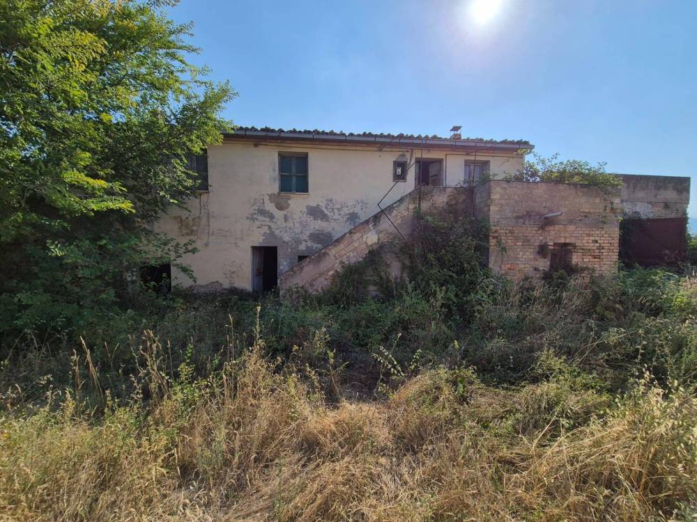 immagine annuncio 9 di 13