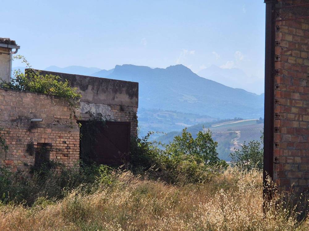 immagine annuncio 11 di 13