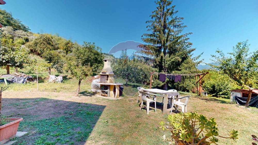 immagine annuncio 7 di 13