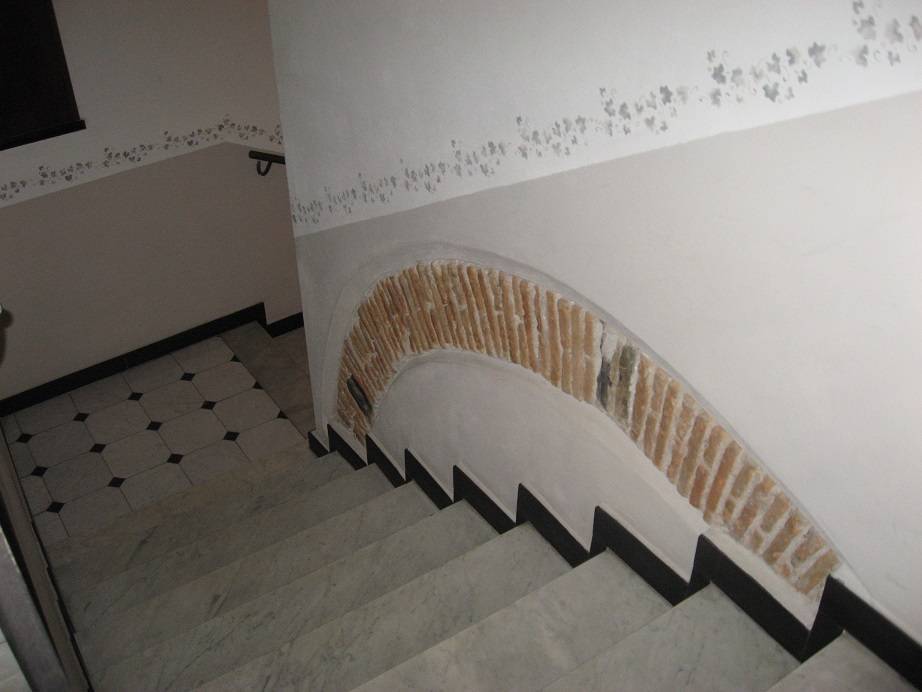 immagine annuncio 11 di 14