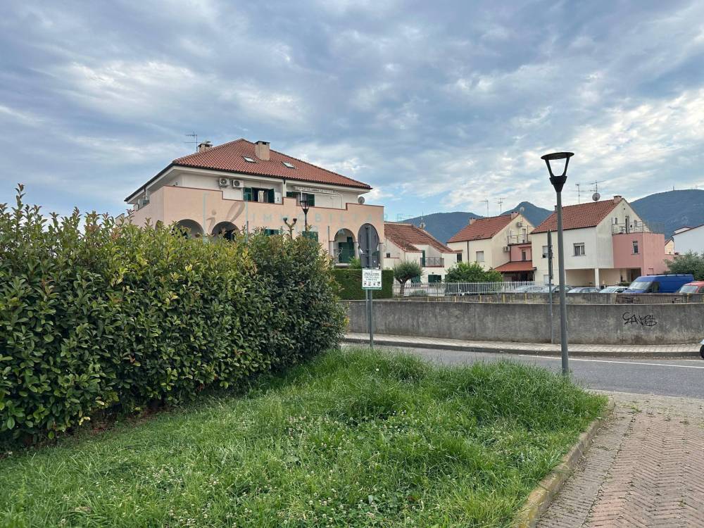 immagine annuncio 13 di 14