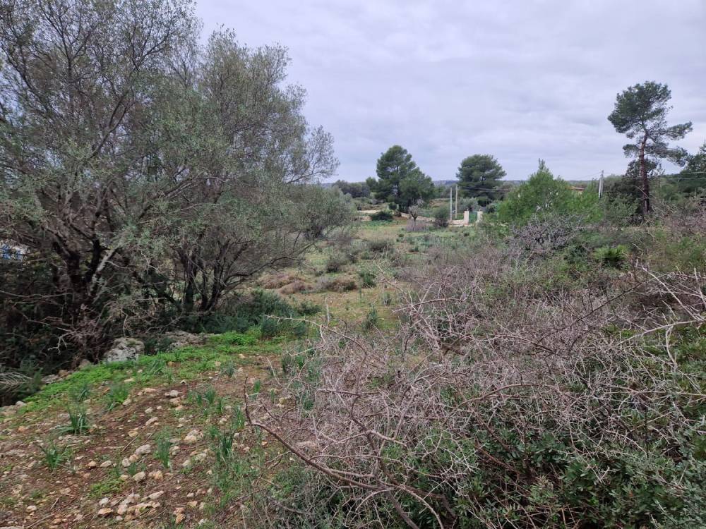 immagine annuncio 8 di 13