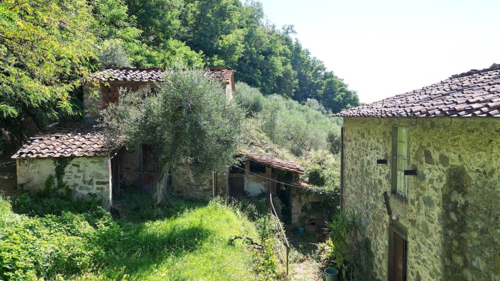 immagine annuncio 2 di 13