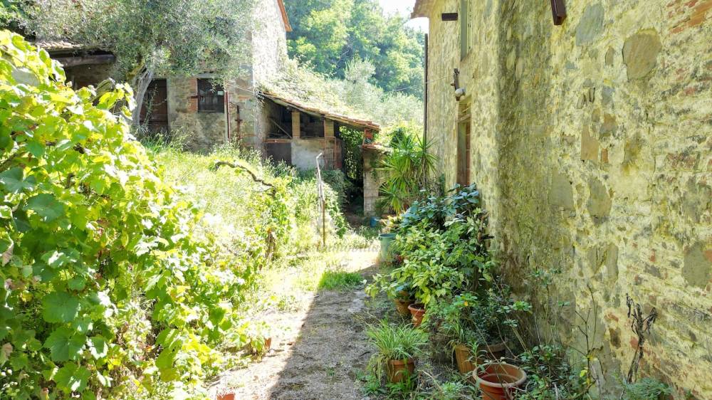 immagine annuncio 3 di 13